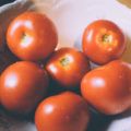 recupérer les graines de tomates