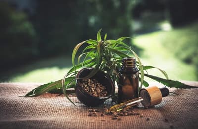 Quel cbd pour le mal de dos
