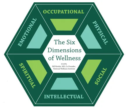 modele du bien etre par docteur Bill Hettler