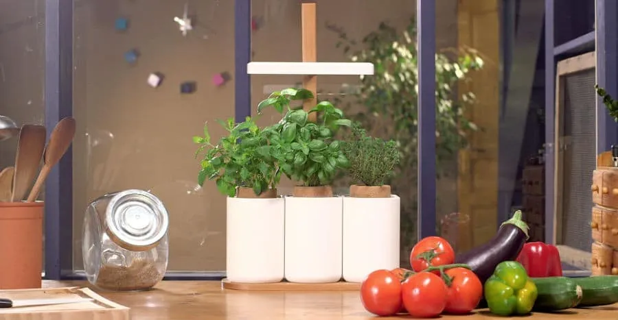 faire pousser légumes appartement