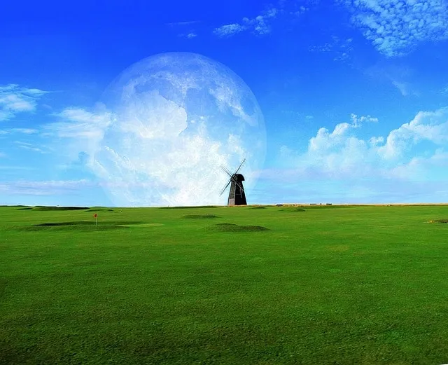 Comment réduire l’arrosage d’une pelouse ?