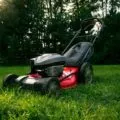 choisir une tondeuse à gazon