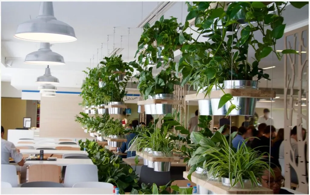 décoration végétale_publicis_sauvaje